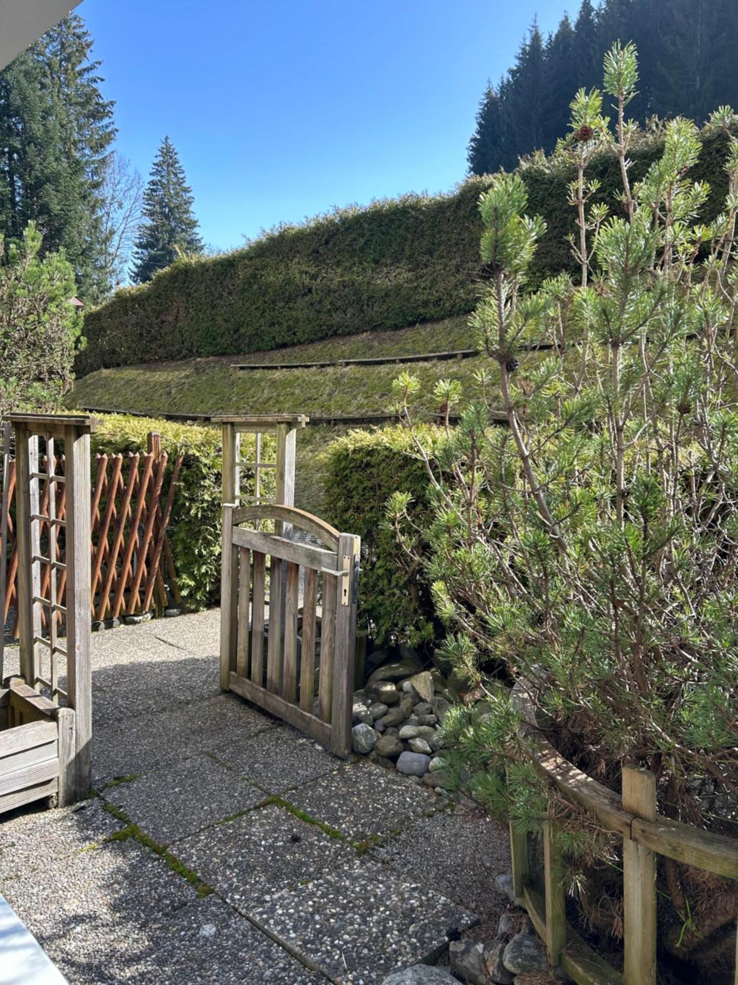 The Small Box - Portes Du Soleil Torgon Exterior foto
